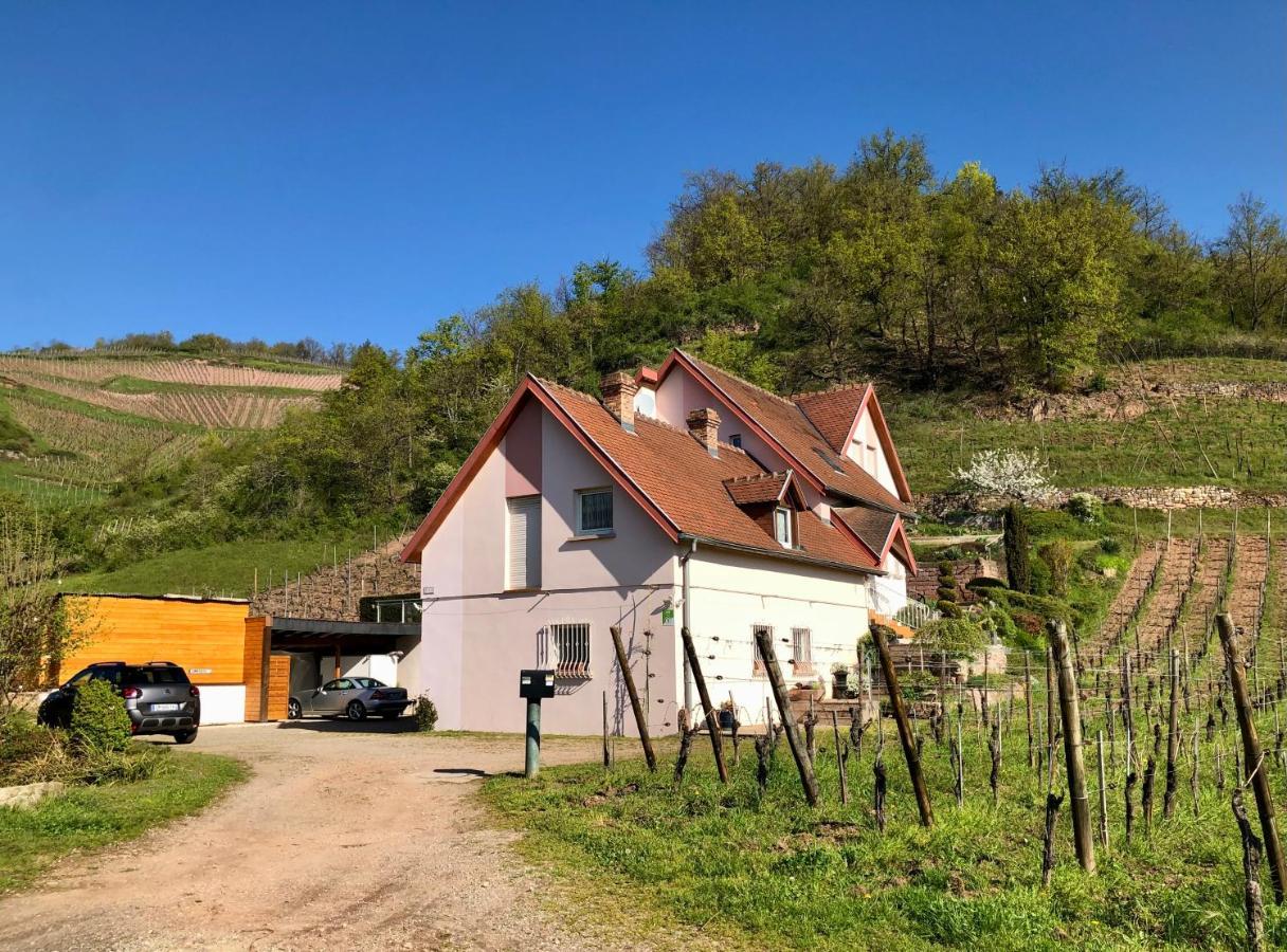 Le Gite Du Sommerberg Niedermorschwihr Exterior foto